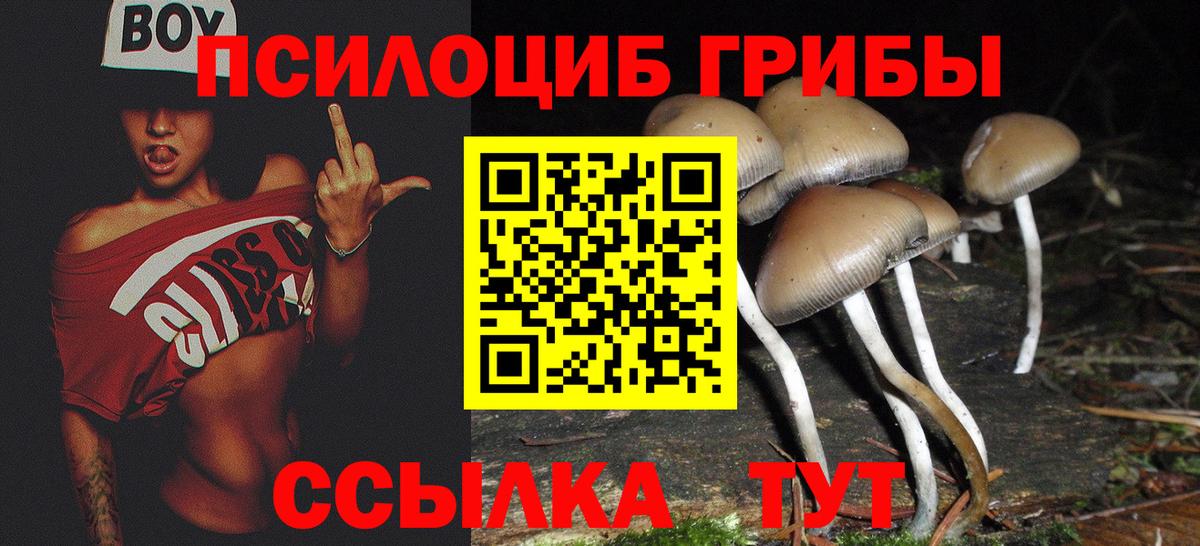 Галлюциногенные грибы Psilocybine cubensis  Вход с VPN  купить наркоту  Норильск 